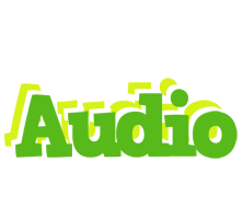 Audio picnic logo