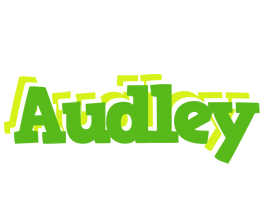 Audley picnic logo