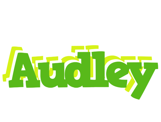 Audley picnic logo