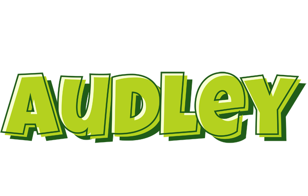 Audley summer logo