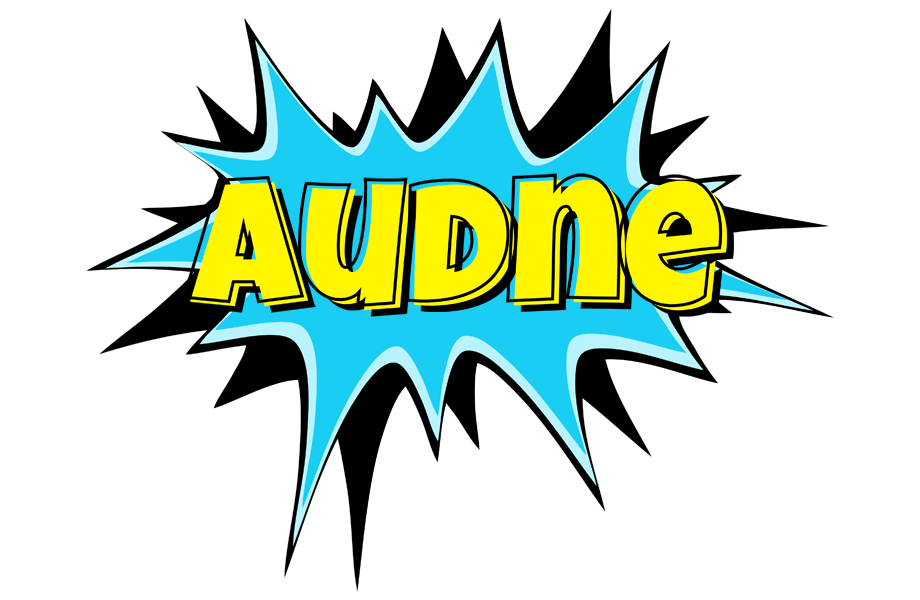 Audne amazing logo