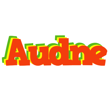 Audne bbq logo