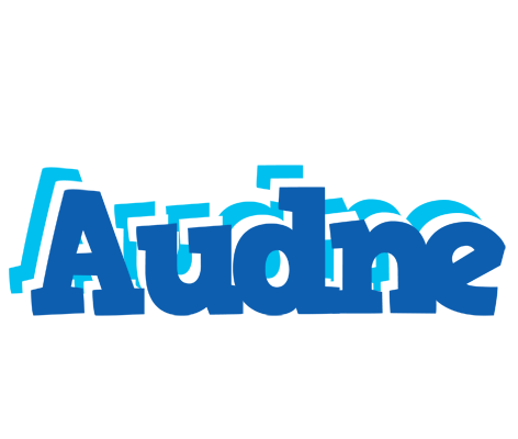 Audne business logo