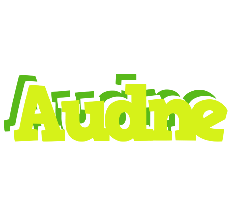 Audne citrus logo