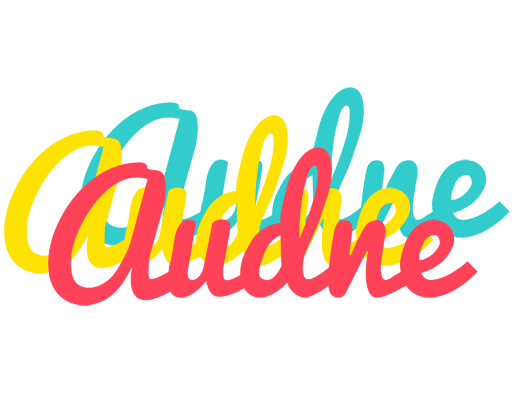 Audne disco logo