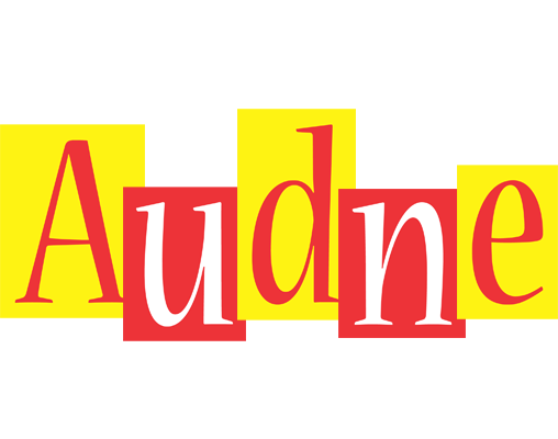Audne errors logo