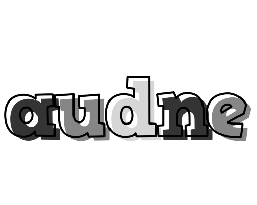 Audne night logo