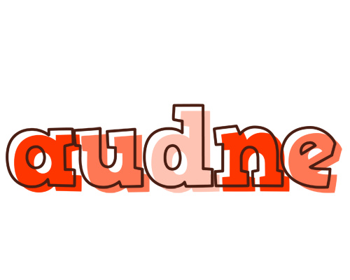 Audne paint logo