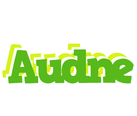 Audne picnic logo