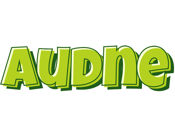 Audne summer logo