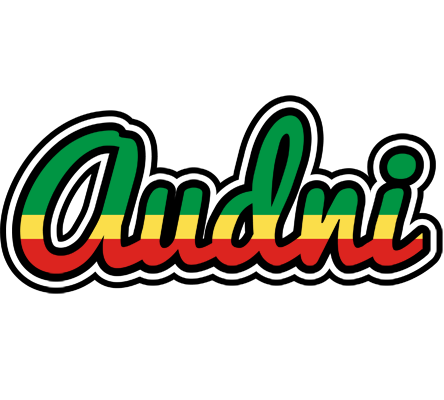 Audni african logo