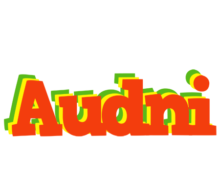Audni bbq logo