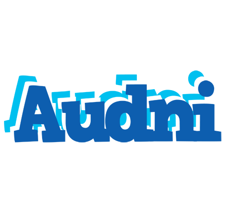 Audni business logo