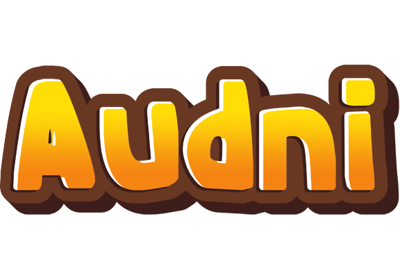 Audni cookies logo
