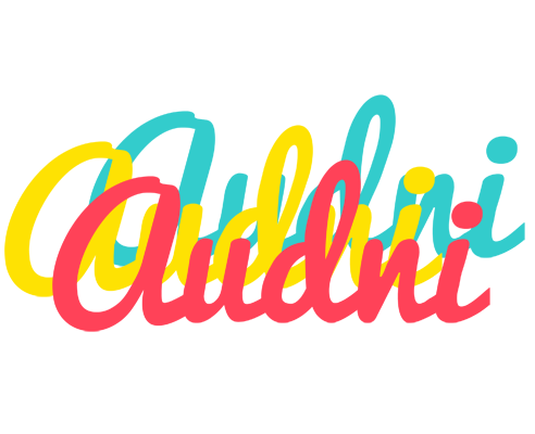 Audni disco logo