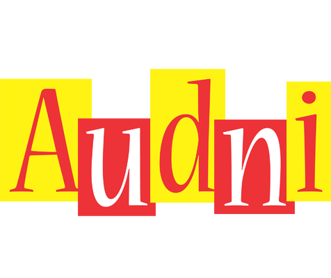 Audni errors logo