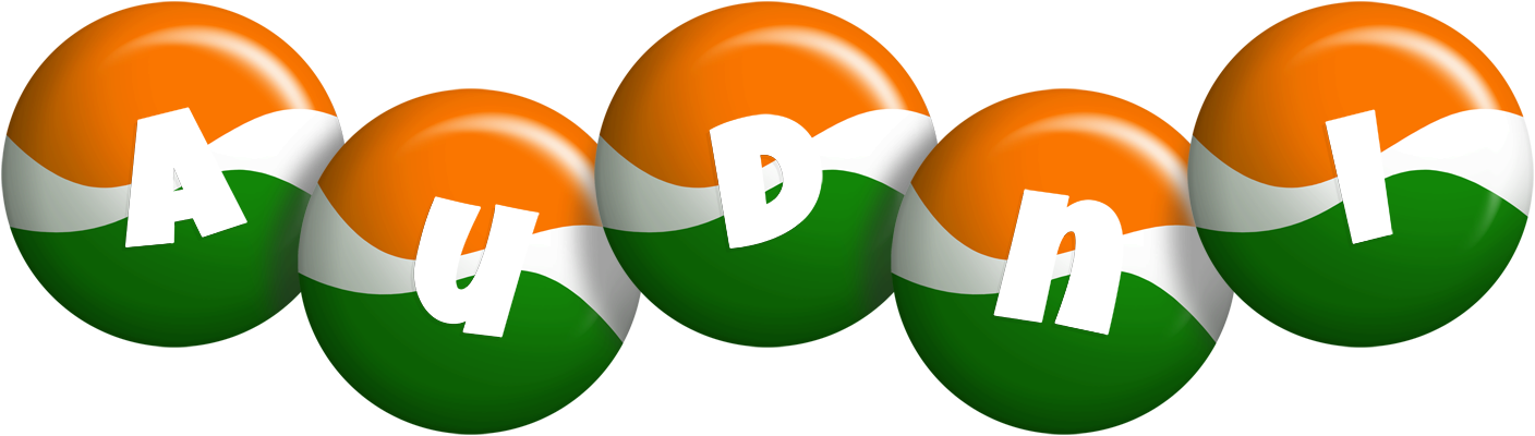 Audni india logo