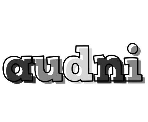 Audni night logo