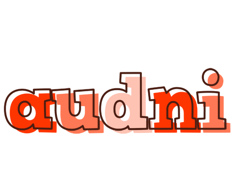 Audni paint logo