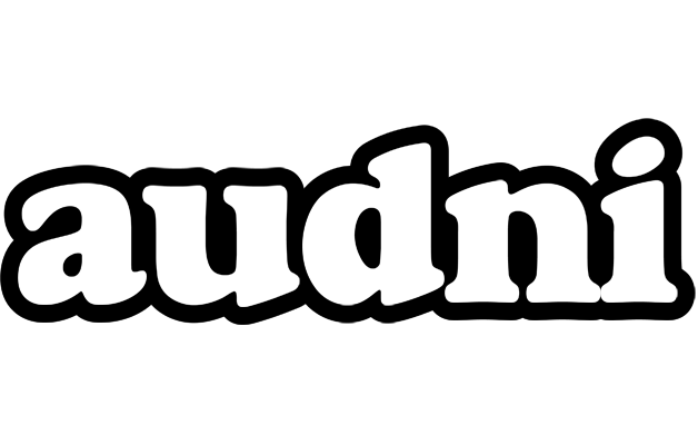 Audni panda logo