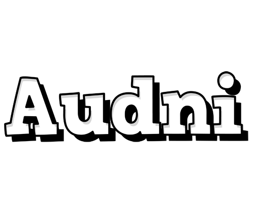 Audni snowing logo