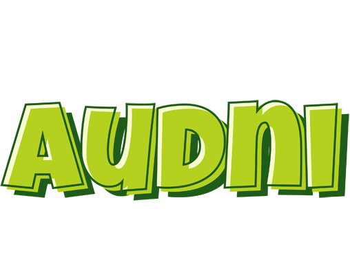Audni summer logo