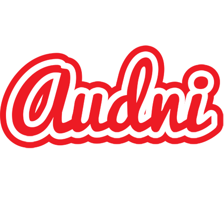 Audni sunshine logo