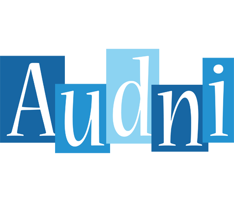 Audni winter logo