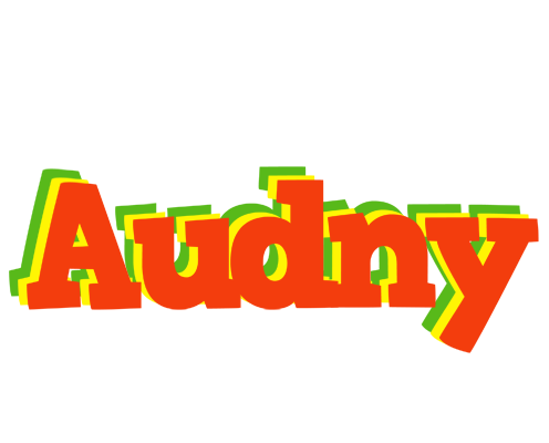 Audny bbq logo