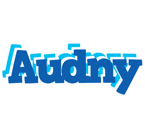 Audny business logo