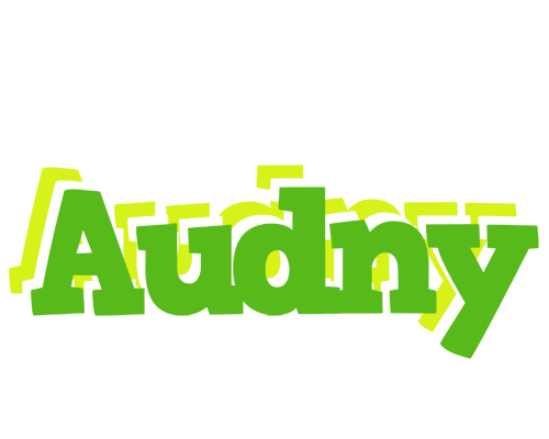 Audny picnic logo