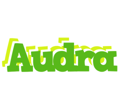 Audra picnic logo