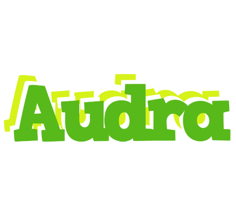 Audra picnic logo
