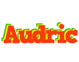 Audric bbq logo