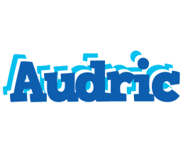 Audric business logo