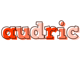 Audric paint logo