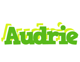 Audrie picnic logo