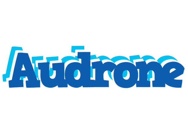 Audrone business logo
