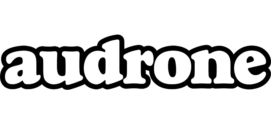 Audrone panda logo