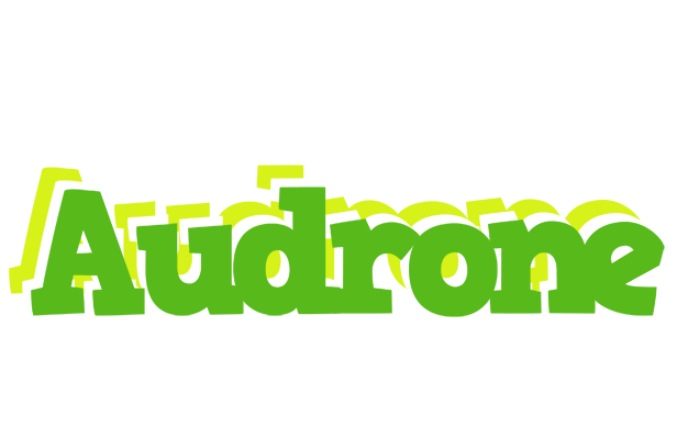 Audrone picnic logo