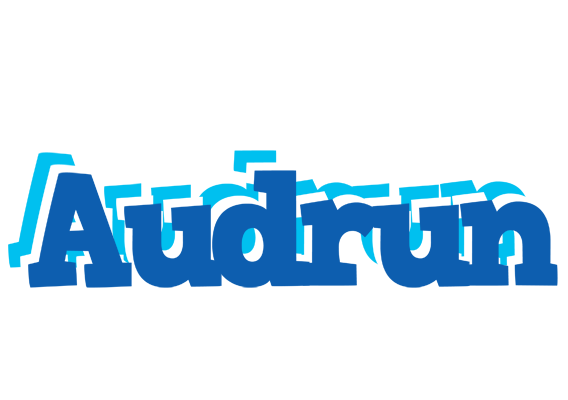 Audrun business logo