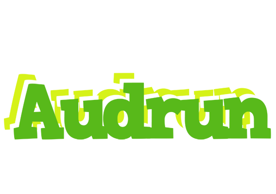 Audrun picnic logo