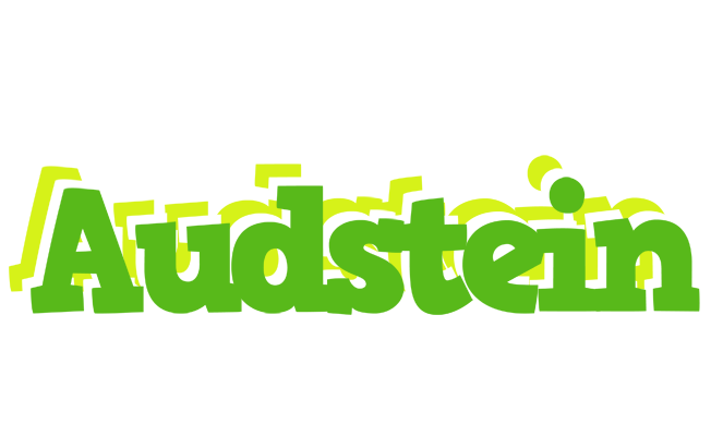 Audstein picnic logo