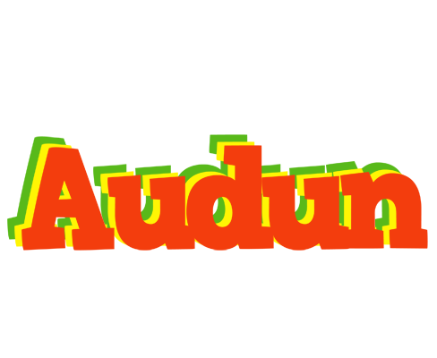 Audun bbq logo