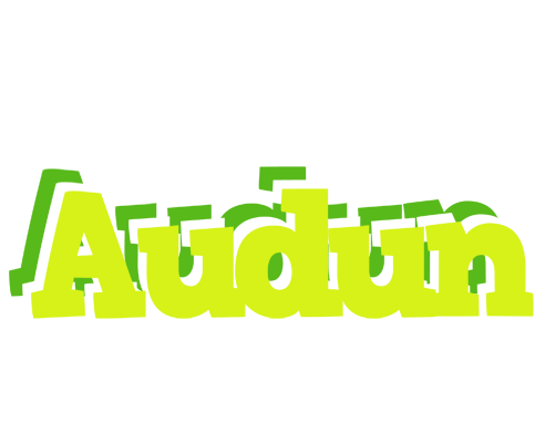 Audun citrus logo
