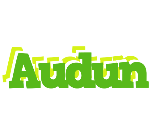Audun picnic logo