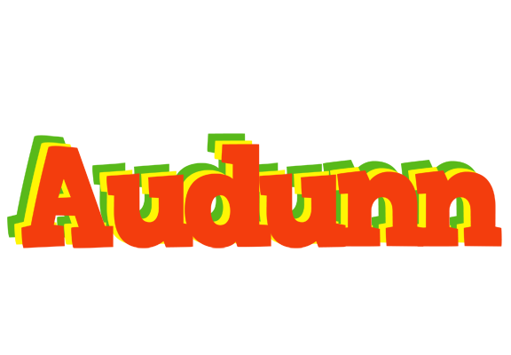Audunn bbq logo