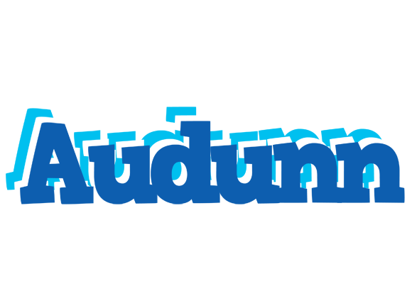 Audunn business logo