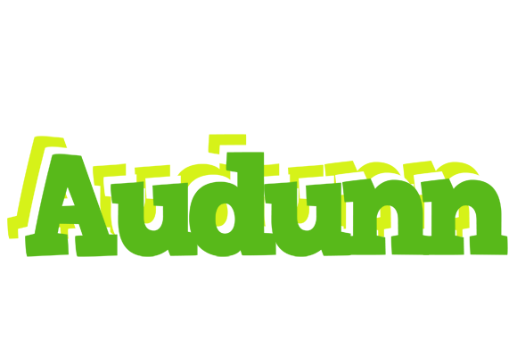 Audunn picnic logo
