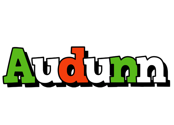 Audunn venezia logo